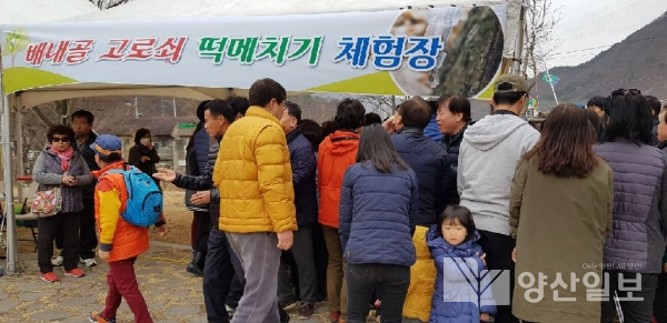 지난 3~4일 원동면 배내골 고로쇠축제에서 열린 떡메치기 체험장.