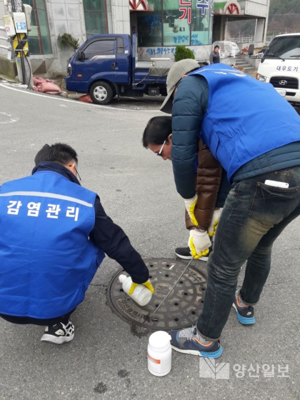 모기 감염병 예방을 위해 유충구제 방역을 집중 실시하고 있다.