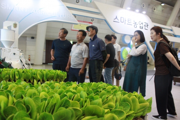 관람객들이 스마트 농장에서 키운 농작물을 바라보고 있다 (사진=신정윤 기자)