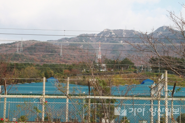 동면 호포차량기지 뒤 금정산 자락에 승마시설이 들어설 예정지역.