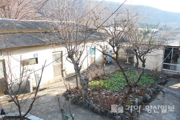 부부가 살던 하북면의 한 연립주택.