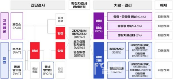 확진자 검사-배정-치료 체계 흐름도
