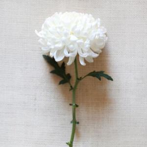 [부고] 박정삼(백송홀딩스 회장)·정관(〃부회장)·정지(〃부사장) 씨 모친상